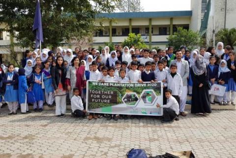 tree plantation school